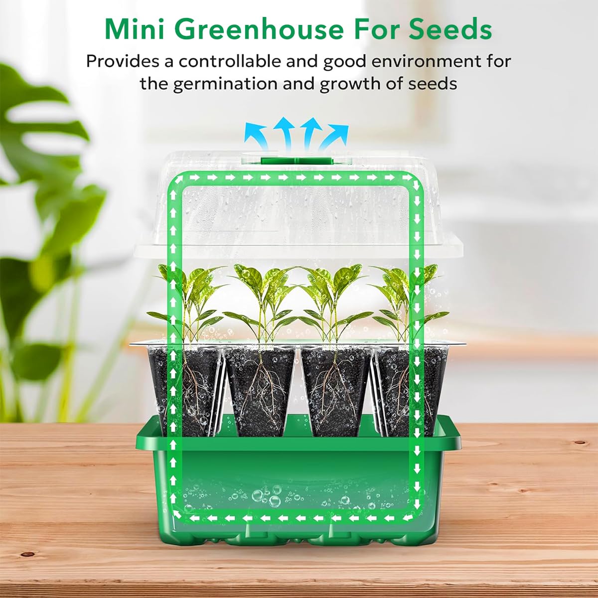 HASTHIP® 5Pcs Seed Starter Tray Kit with 12 Cell Seedling Tray, Labels, Seedling Tools - Seed Starter Tray with Drainage Design - Home Greenhouse Germination Kit - Growing Tray Gardening Tools Kit HASTHIP® 5Pcs Seed Starter Tray Kit with 12 Cell Seedling Tray, Labels, Seedling Tools - Seed Starter Tray with Drainage Design - Home Greenhouse Germination Kit - Growing Tray Gardening Tools Kit